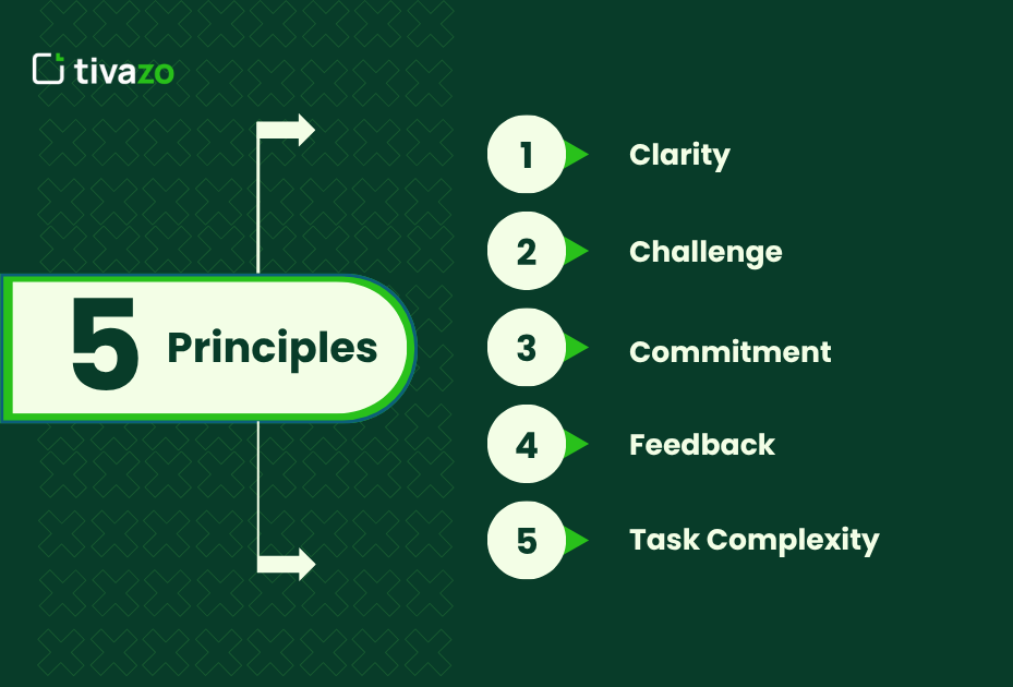 What are The Principles of Goal Setting?
