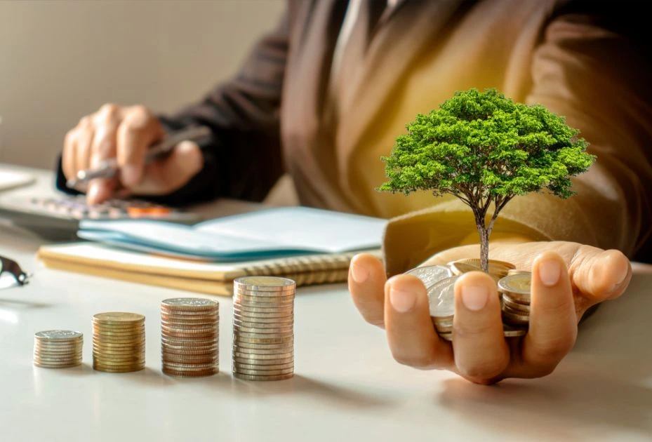 small tree in hand 
 to Improve Organizational Management