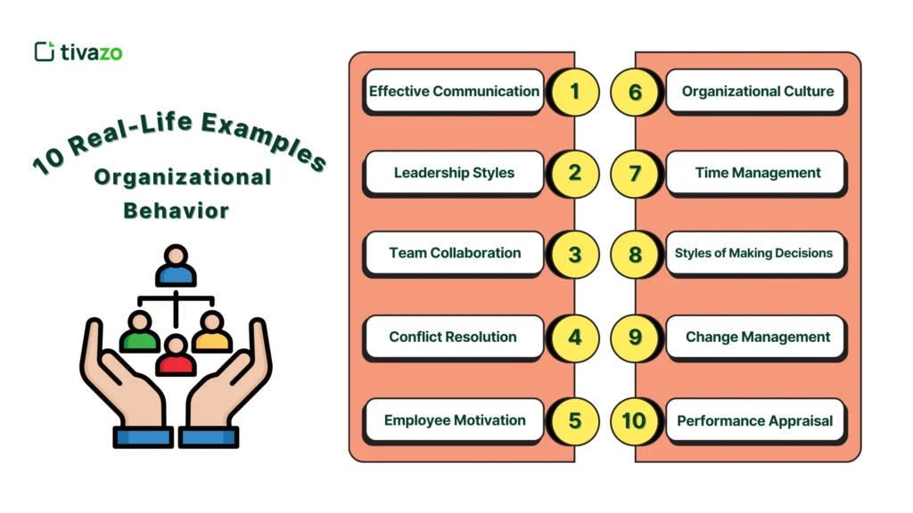 10 Real-Life Examples of Organizational Behavior