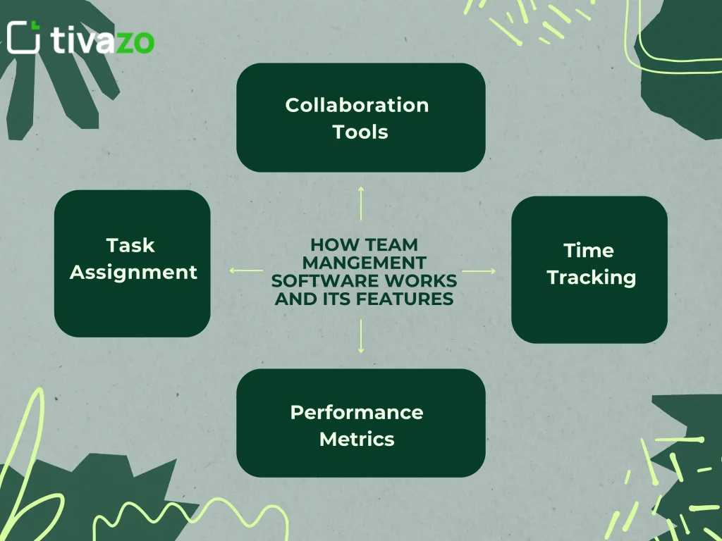 Team Management Software Features 