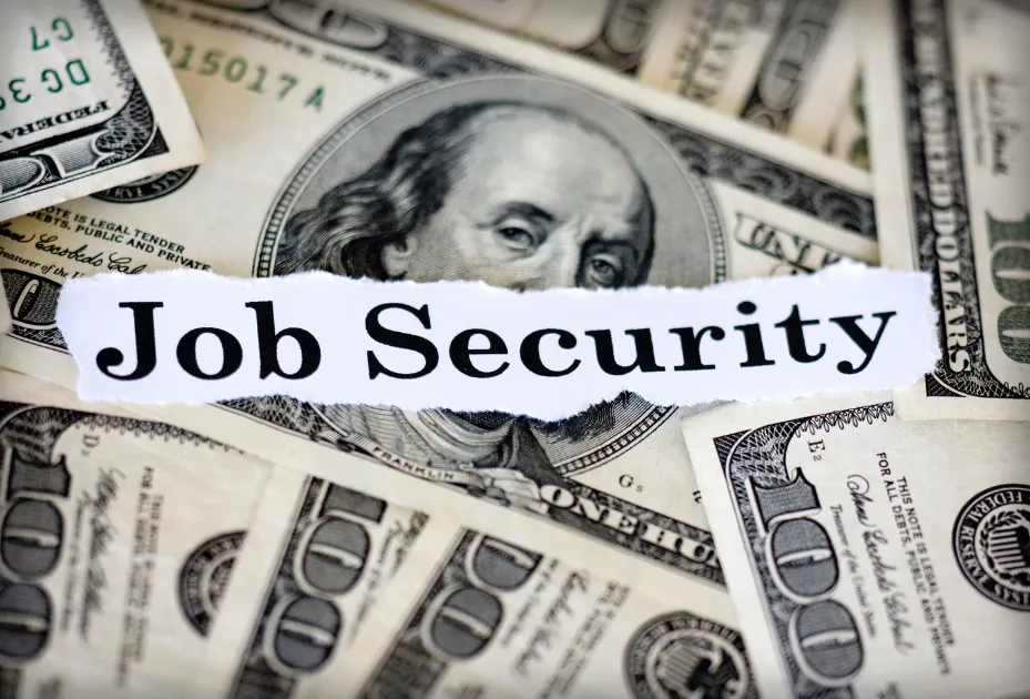 image of Job Security
