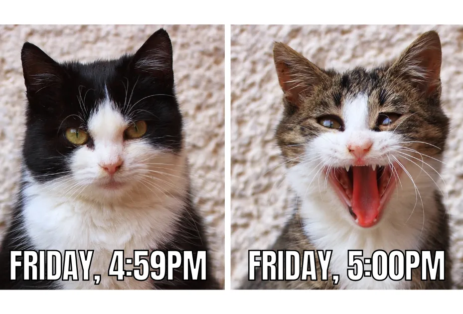 Image of friday time 4.59 and friday time 5.00 pm