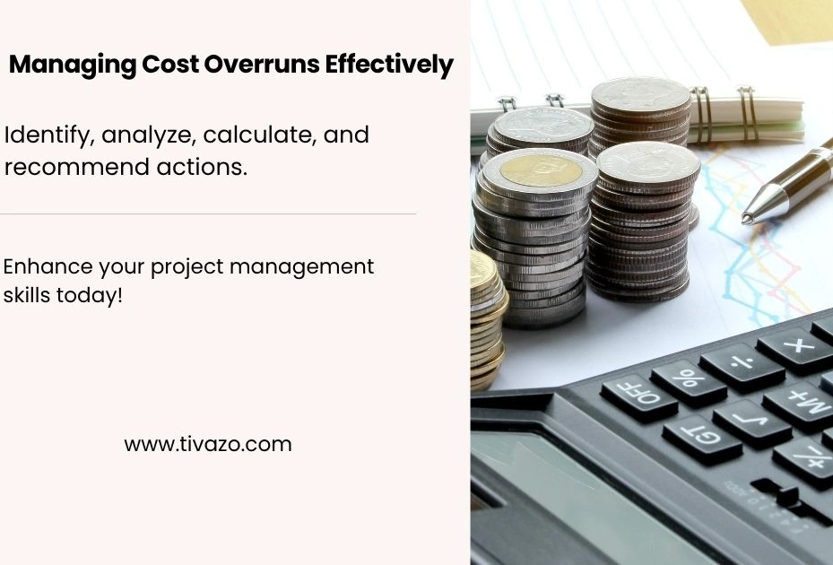 A picture of popular reasons for cost overruns.