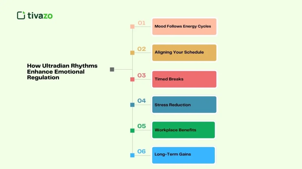 Ultradian Rhythms Enhance Emotional Regulation