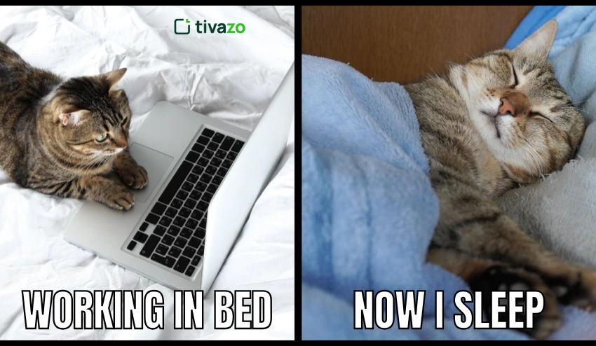 I Worked from Bed, and Now I Sleep meme