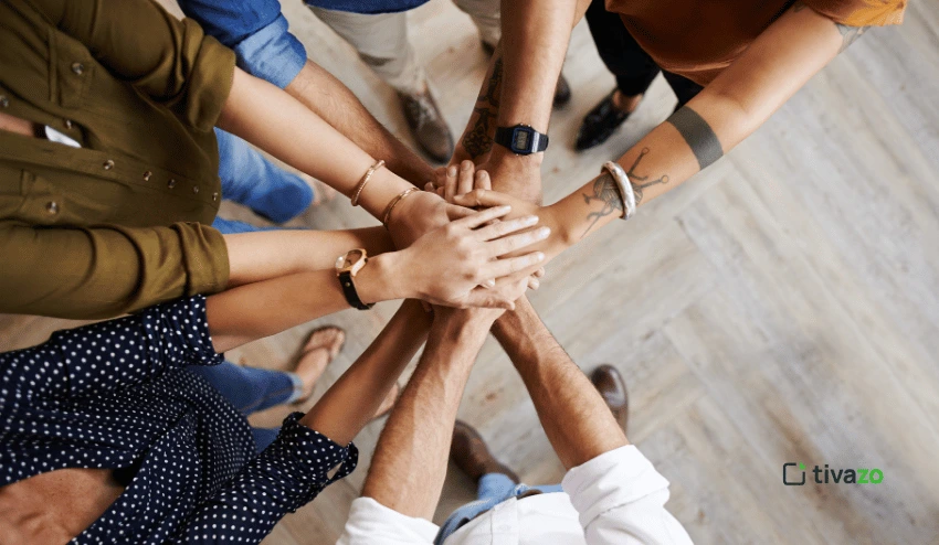 Distribution of Work Among Team Members