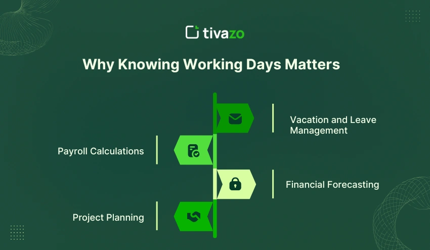 Why Knowing Working Days Matters